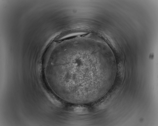 X0000101090400200807031731