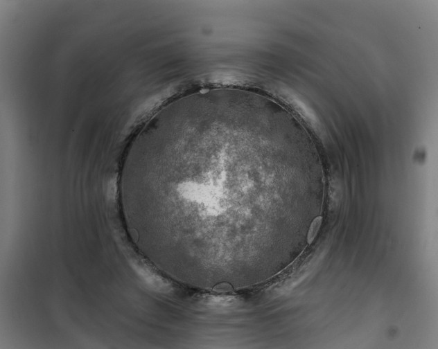 X0000101090401200807031731