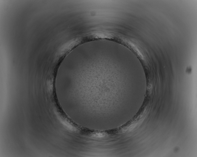 X0000101090402200807031731