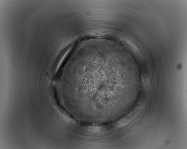 X0000101090404200807031731