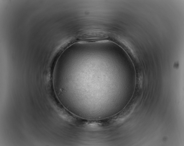 X0000101090407200807031731