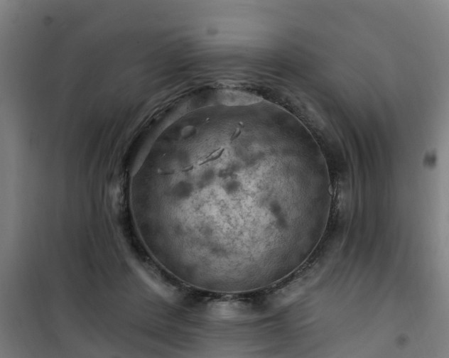 X0000101090408200807031731