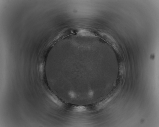 X0000101090409200807031731