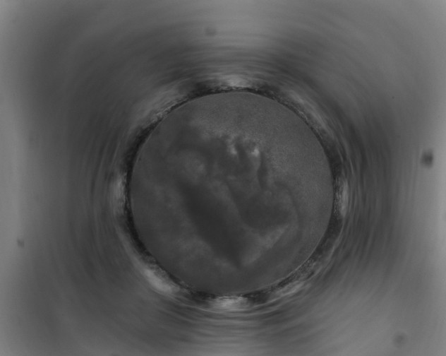 X0000101090410200807031731