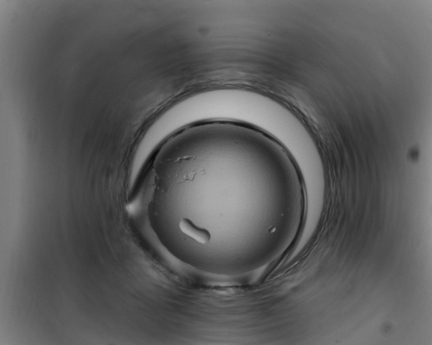 X0000101090411200807031731