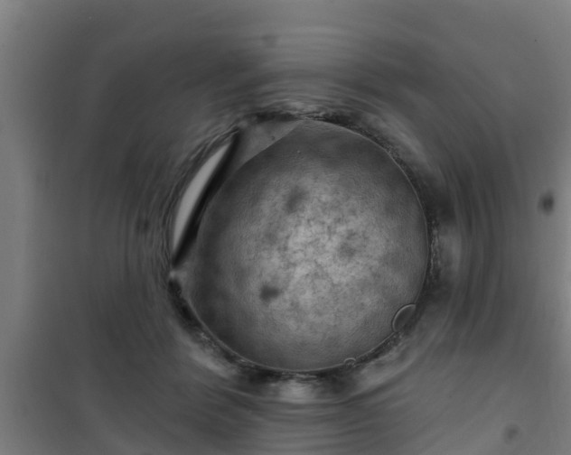 X0000101090412200807031731