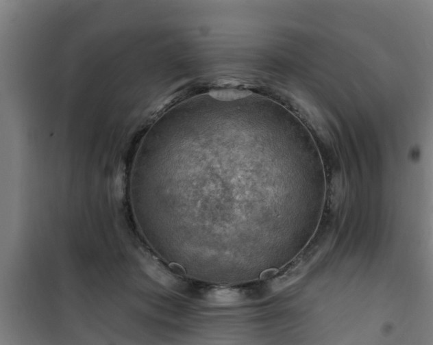 X0000101090413200807031731