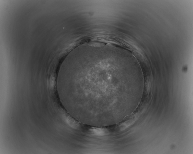 X0000101090417200807031731