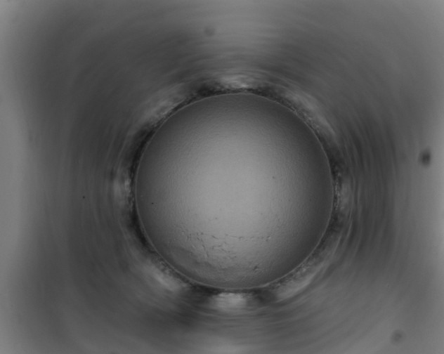 X0000101090418200807031731