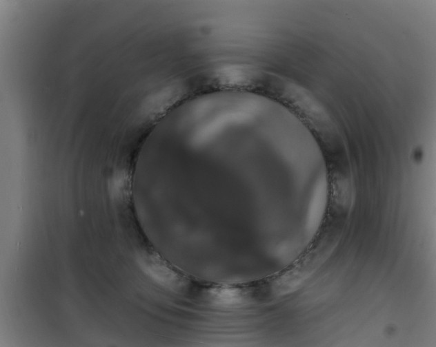 X0000101090419200807031731