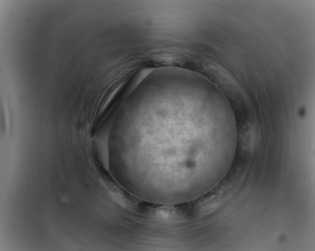 X0000101090420200807031731