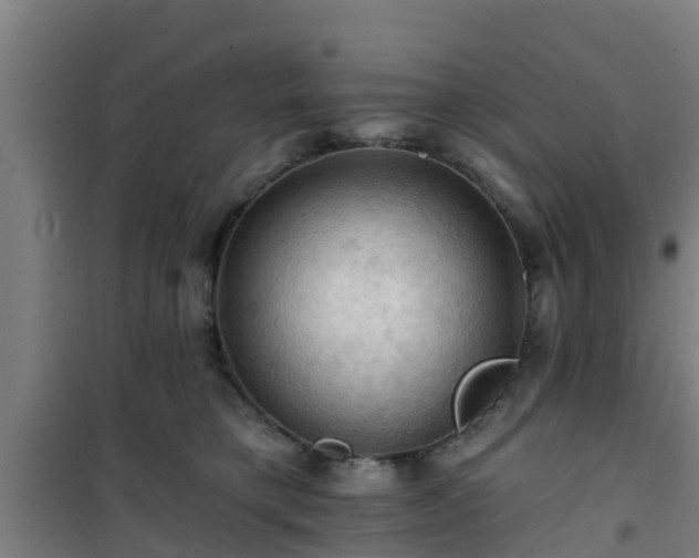 X0000101090421200807031731