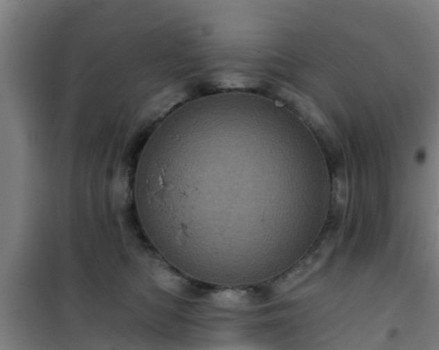 X0000101090422200807031731