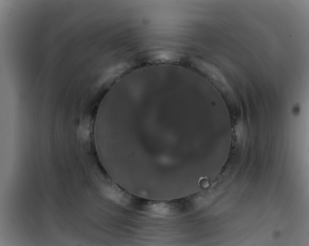 X0000101090423200807031731