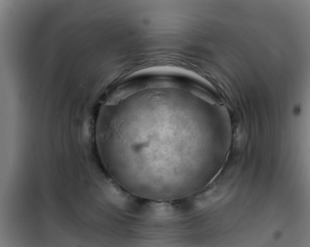 X0000101090424200807031731