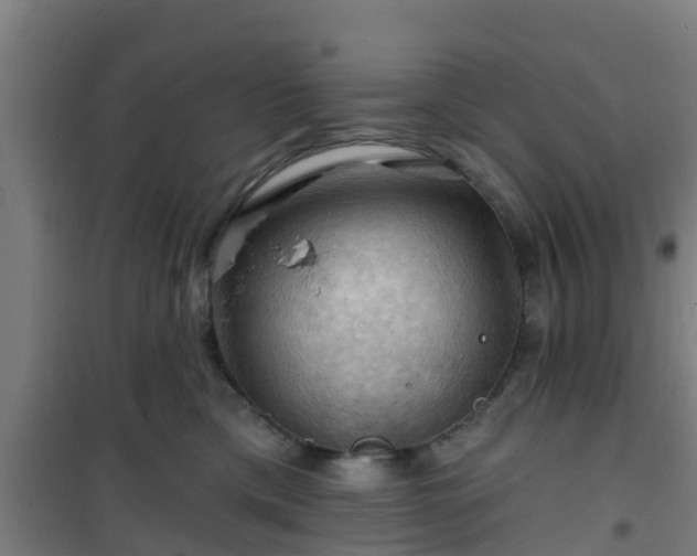 X0000101090425200807031731