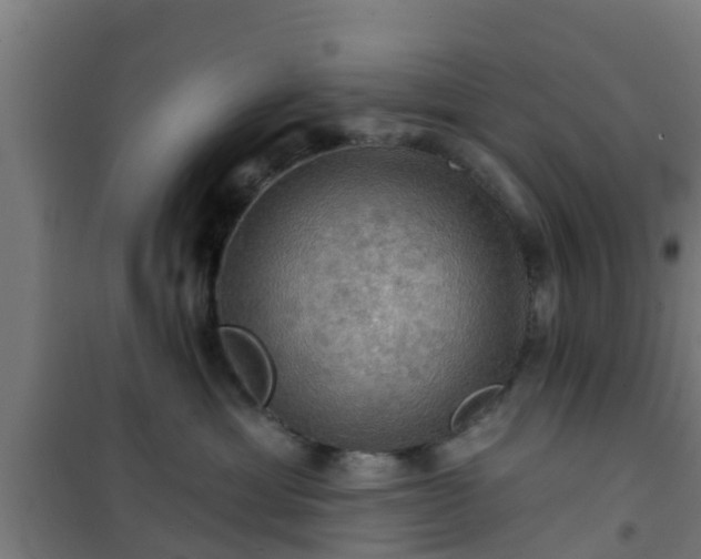 X0000101090429200807031731