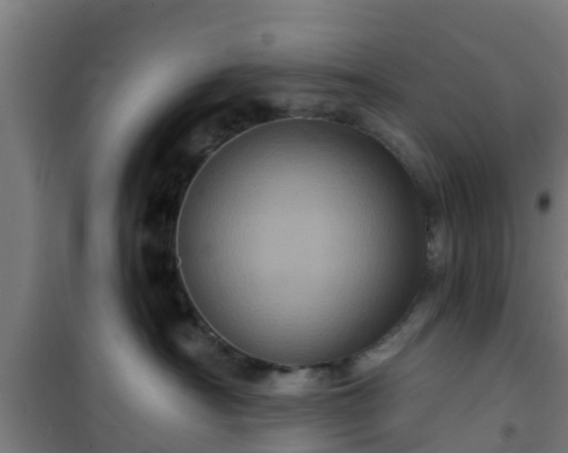 X0000101090430200807031731