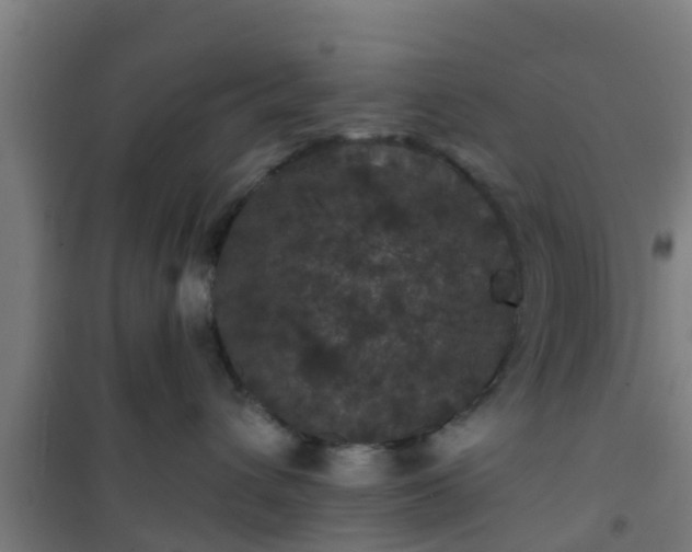 X0000101090432200807031730