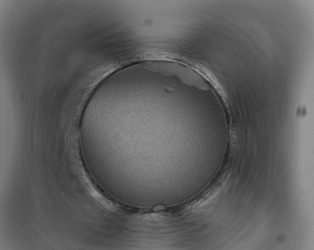 X0000101090433200807031730