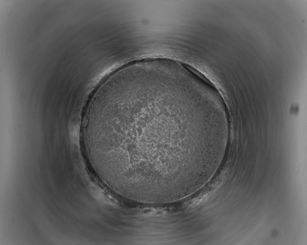 X0000101090434200807031730