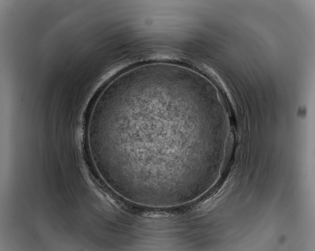 X0000101090435200807031730