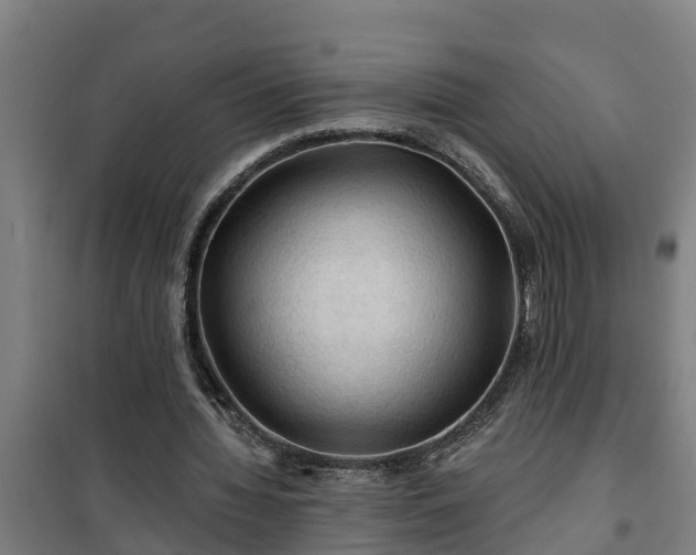 X0000101090436200807031730