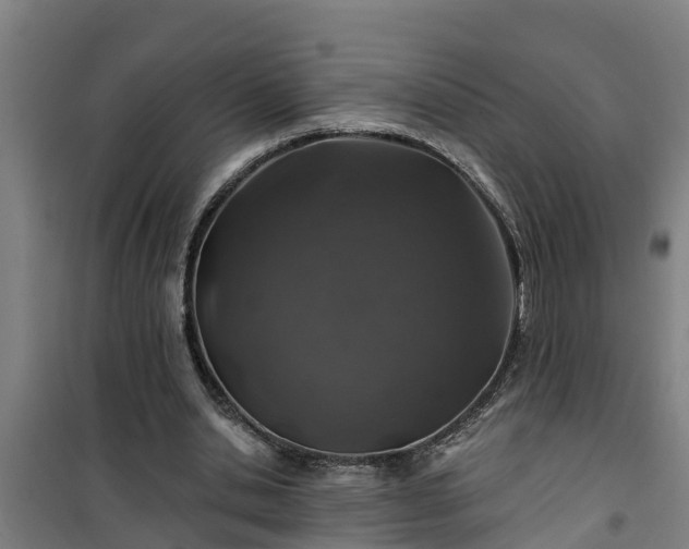 X0000101090438200807031730