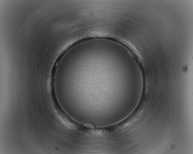 X0000101090439200807031730