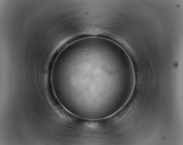 X0000101090440200807031730