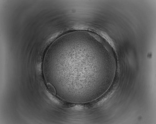 X0000101090441200807031730