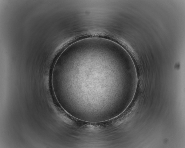 X0000101090442200807031730