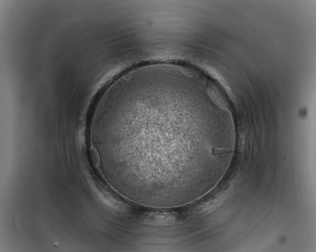 X0000101090443200807031730