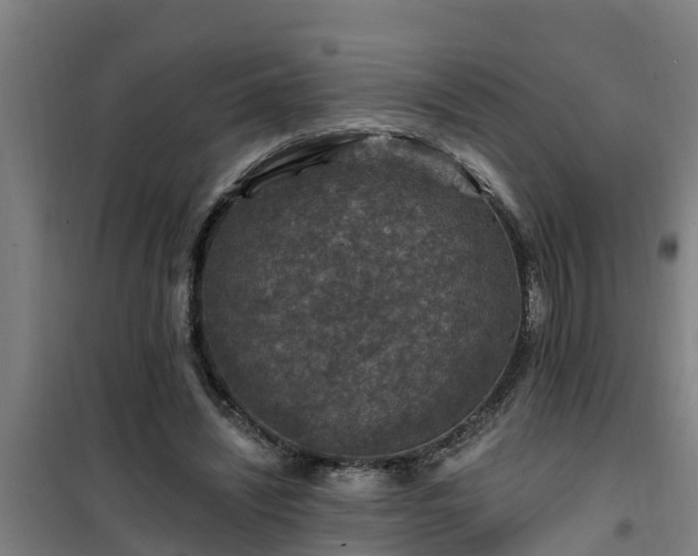 X0000101090444200807031730