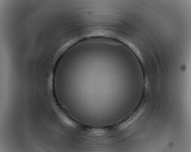 X0000101090445200807031730