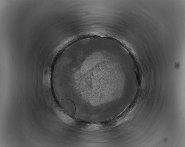 X0000101090446200807031730