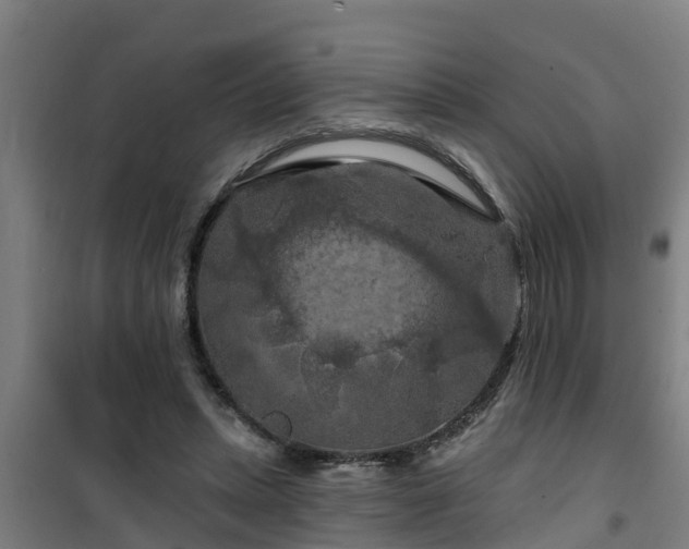 X0000101090447200807031730