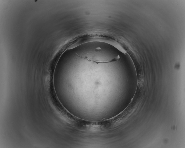 X0000101090448200807031730