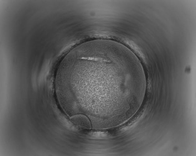 X0000101090449200807031730