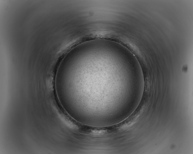 X0000101090450200807031730