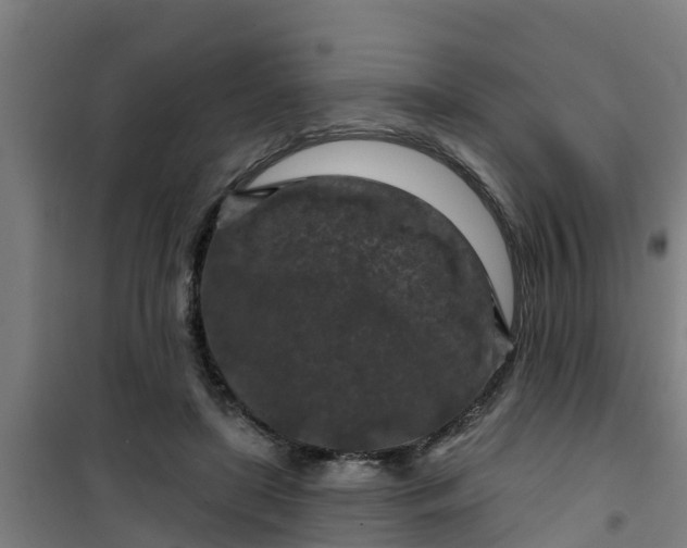 X0000101090451200807031730