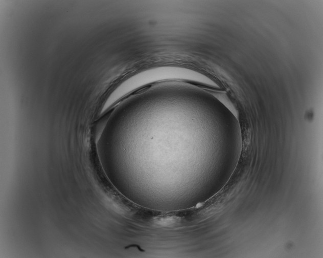 X0000101090452200807031730