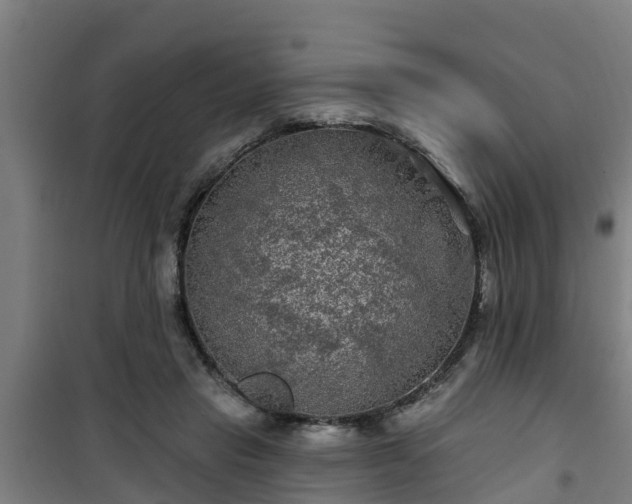 X0000101090453200807031730