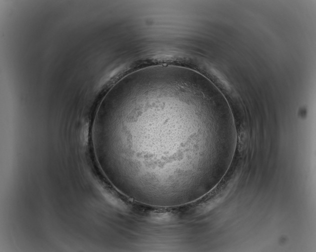 X0000101090454200807031730