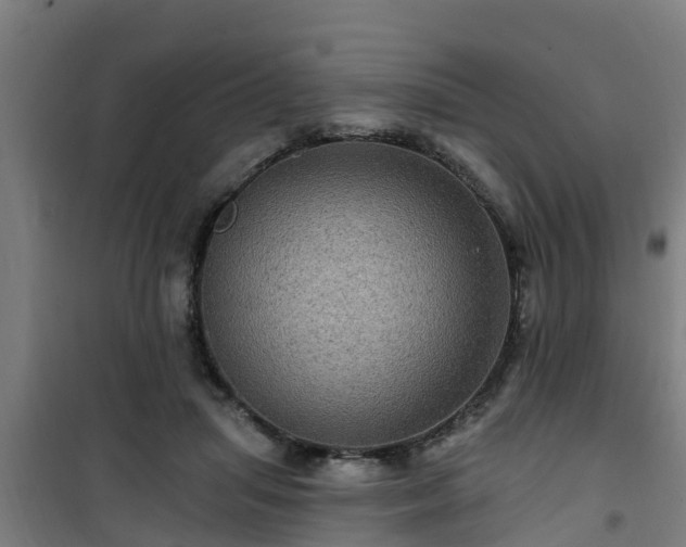 X0000101090455200807031730