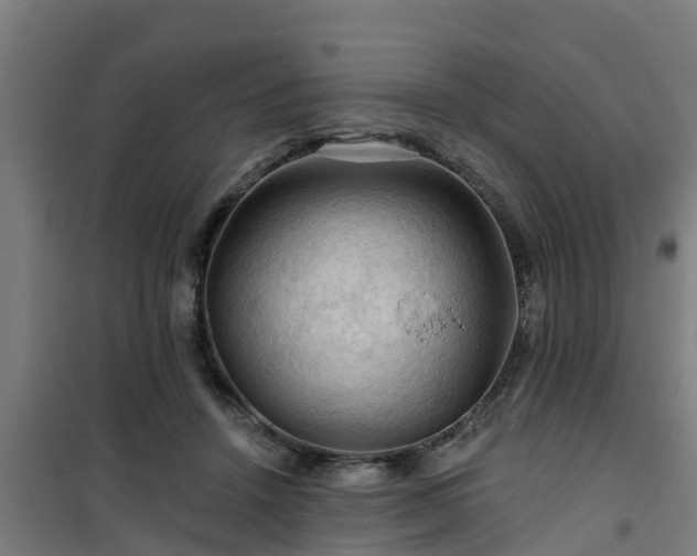 X0000101090456200807031730