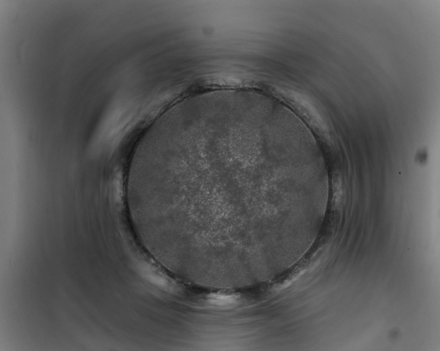 X0000101090457200807031730