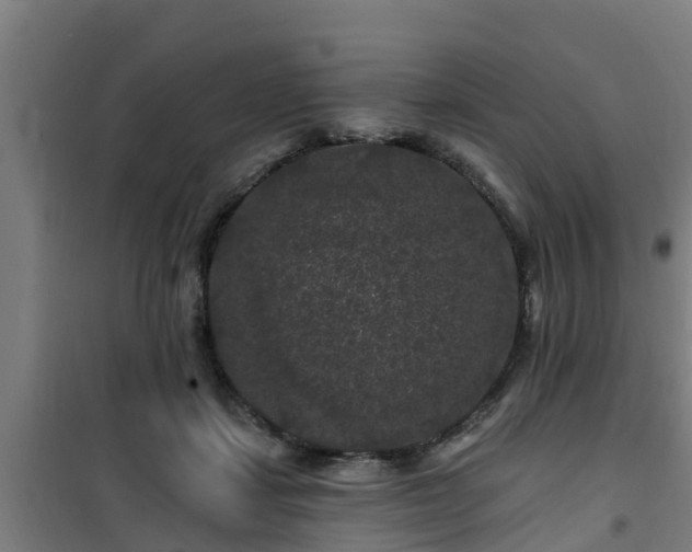 X0000101090459200807031730