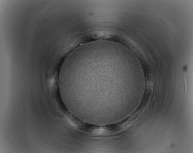 X0000101090460200807031730