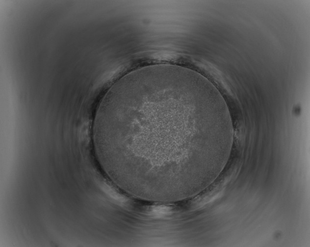 X0000101090462200807031730